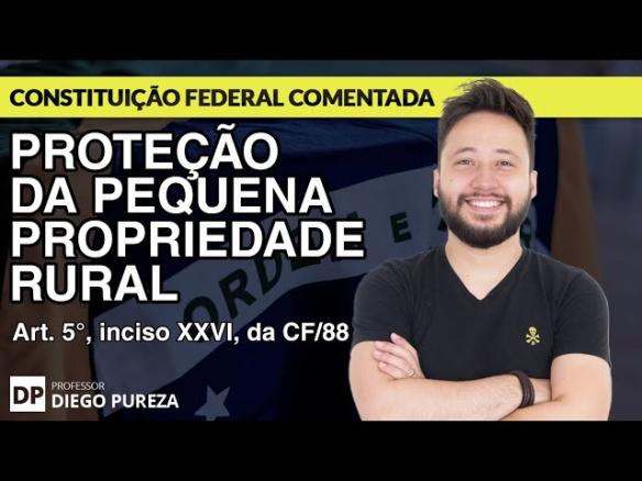 Proteção sobre a Pequena Propriedade Rural (art. 5º, XXVI, da CF/88)