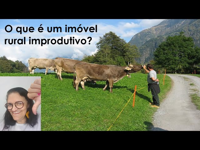 Entendendo a  produtividade do imóvel rural – 1