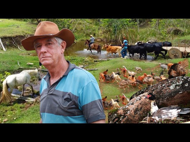 O LINDO SITIO DO VARDINHO E DA DONA LUCIMAR