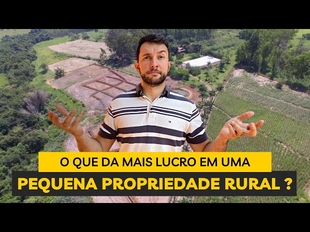 O que dá MAIS lucro em uma pequena propriedade rural?