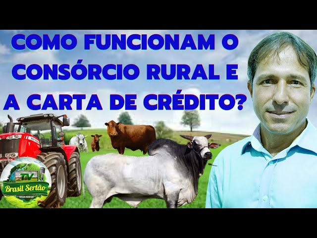 COMO FUNCIONA O CONSÓRCIO RURAL E A CARTA DE CRÉDITO? #dicas