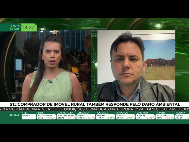STJ: comprador de imóvel rural também responde pelo dano ambiental
