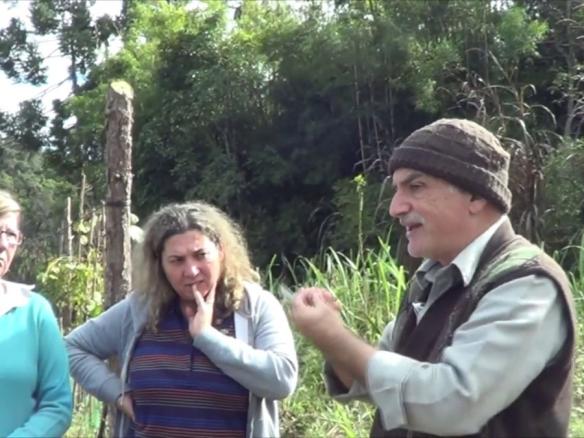 1108 ) – 1° PARTE – SÃO LOURENÇO DA SERRA – SP – ENXERTIA VIDEIRA