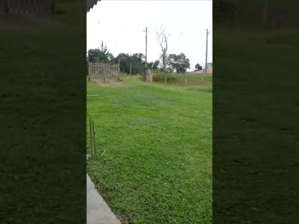 37 graus ♨️ são Paulo juquitiba 🌹