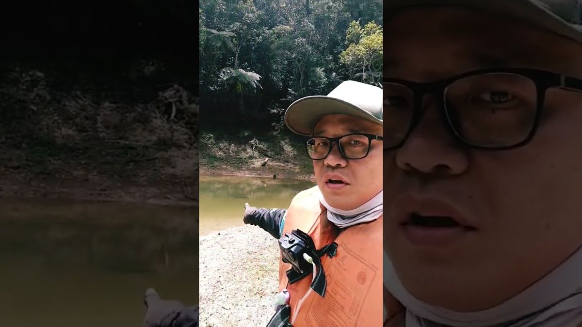 Cachoeira da Fumaça – Juquitiba, um pedaço do Paraíso.