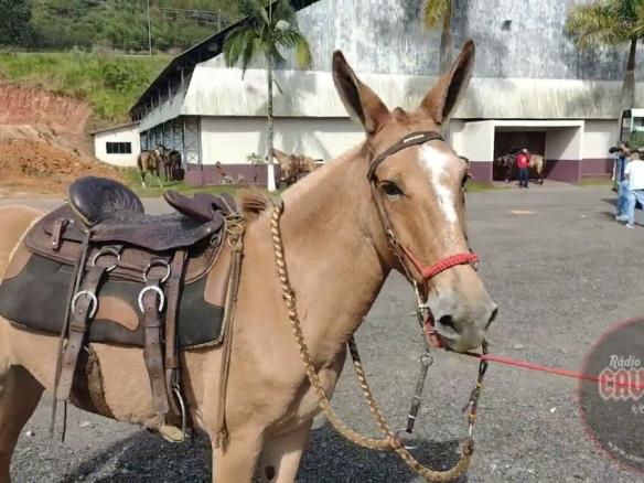 Cavalgada em Juquitiba SP