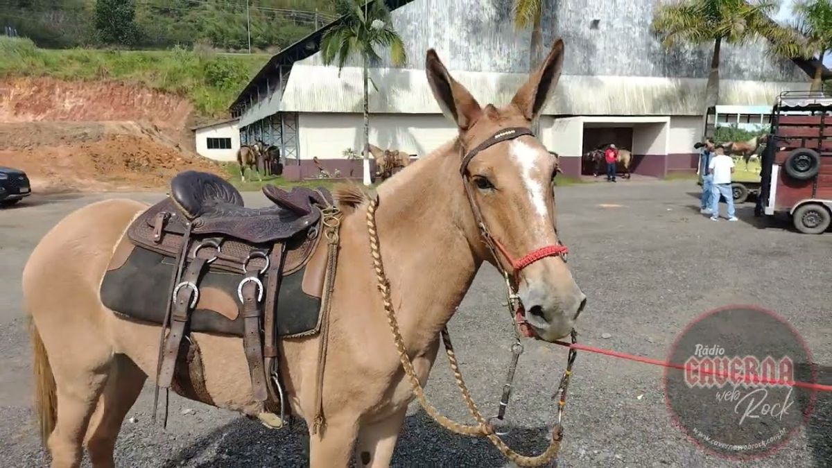 Cavalgada em Juquitiba SP