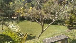 Chácara à Venda Em São Lourenço da Serra SP / VALOR: R$ 280.000,00