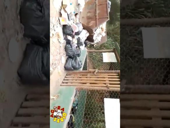 JUQUITIBA A CIDADE QUE ACOSTUMOU A SER PORCA 🐽 LIXEIRA DO CENTRO