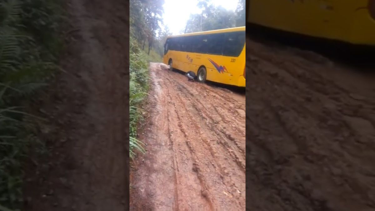 JUQUITIBA A CIDADE QUE NÃO DEU CERTO 😭. ESTRADA DA MARRECAS.
