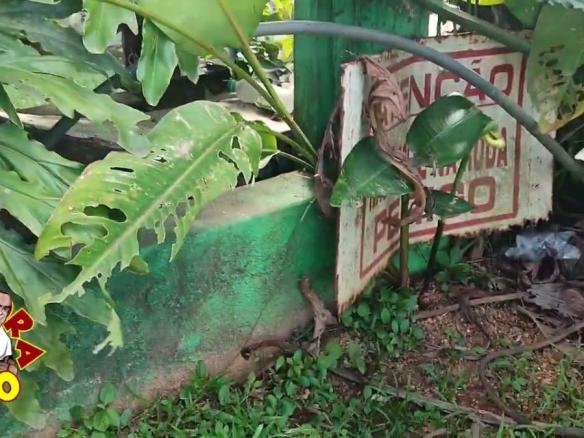 JUQUITIBA A CIDADE QUE NÃO DEU CERTO. RODA DA ÁGUA CAINDO DESCASO E ABANDONO