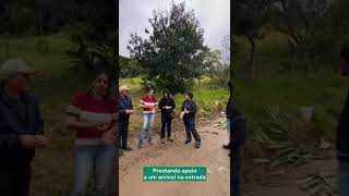 JUQUITIBA ESTÁ EMPESTIADA DE RAIVA ANIMAL 🐴
