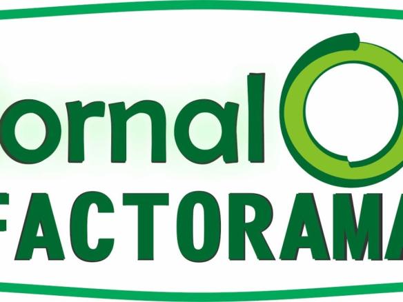 Jornal Factorama 16/11/2023