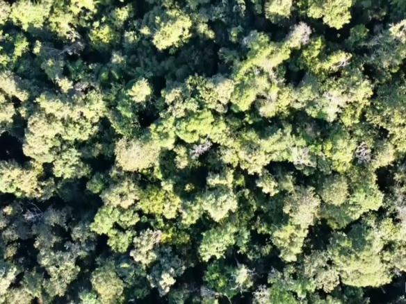 Juquitiba SP #tbt vôo de drone.