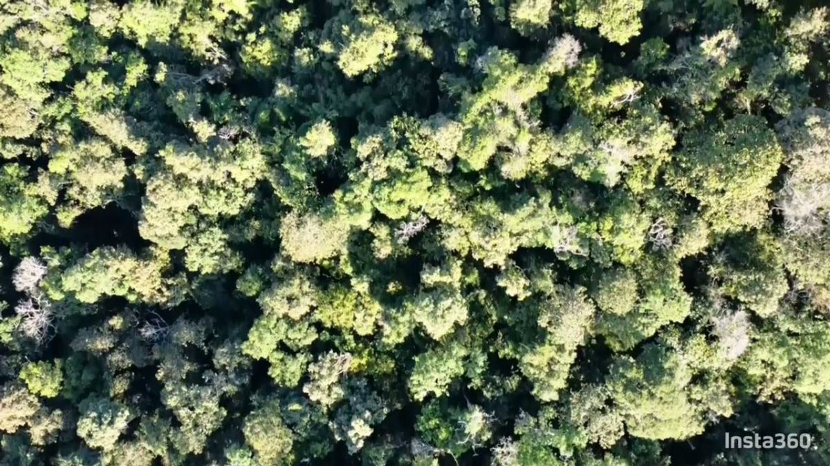 Juquitiba SP #tbt vôo de drone.