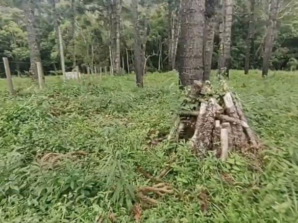 MARAVILHOSO TERRENO EM JUQUITIBA TERRA DE MUITAS ÁGUAS