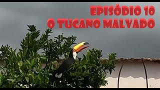 O TUCANO MALVADO – EPISÓDIO 10 – CAMINHOS DE MAR DE ESPANHA