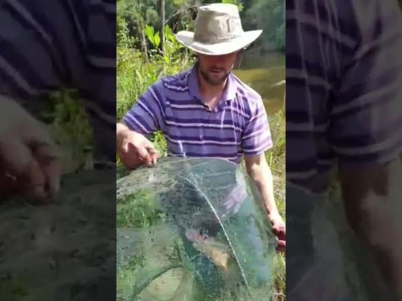 Pesca com covo em Juquitiba @lucyan_motoloko #Bardakelly #sp #juquitiba #motoloko #acampamento
