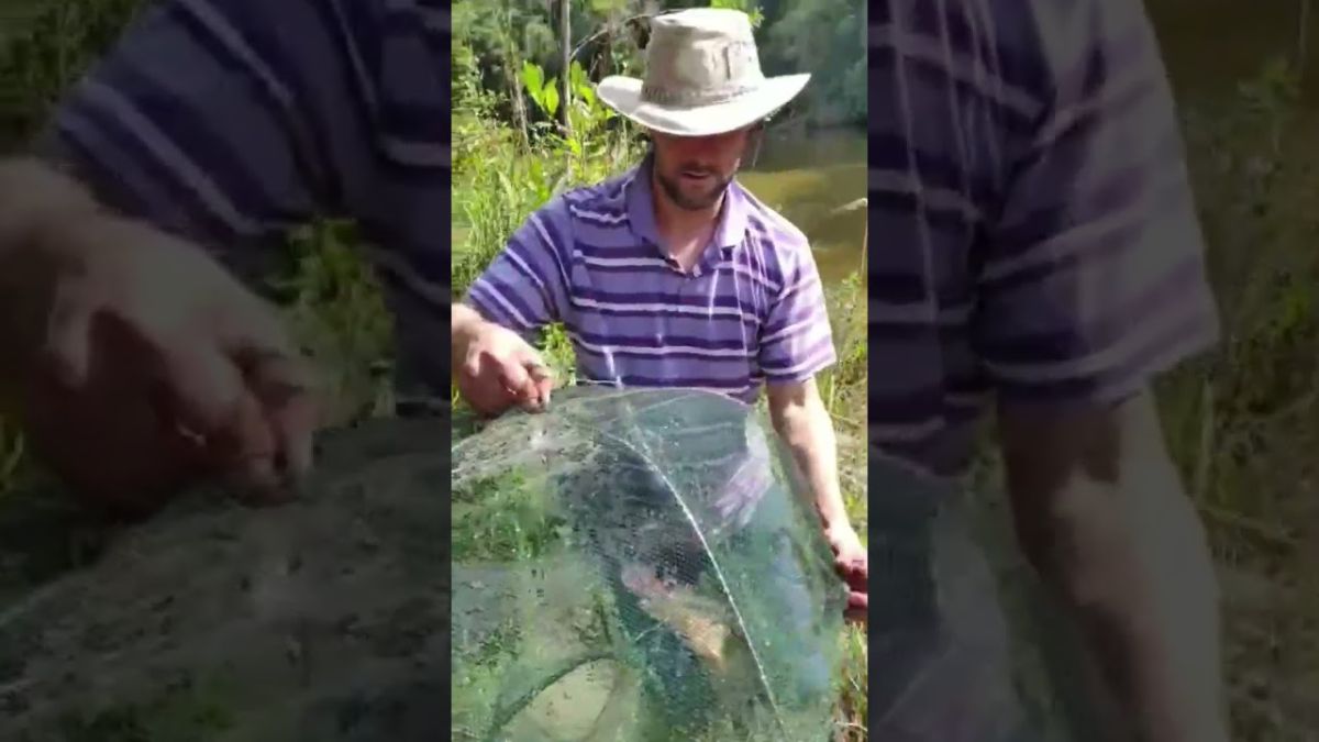 Pesca com covo em Juquitiba @lucyan_motoloko #Bardakelly #sp #juquitiba #motoloko #acampamento