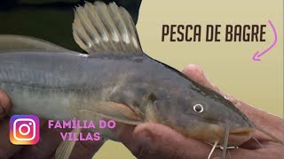 Pescaria de bagre em São Lourenço da Serra #Pesca#Natureza#Shorts#FamíliadoVillas🐟🎣
