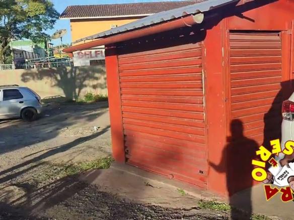 RECANTO DAS CAPIVARAS DE JUQUITIBA VAI GANHAR ARVORES FRUTÍFERAS NO LUGAR DO ESTACIONAMENTO CLANDE