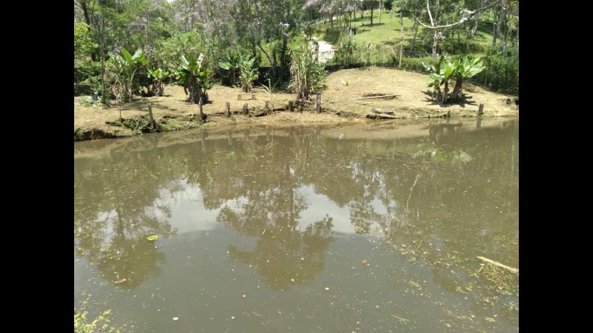 REF   1459 ESPETACULAR TERRENO A VENDA EM JUQUITIBA