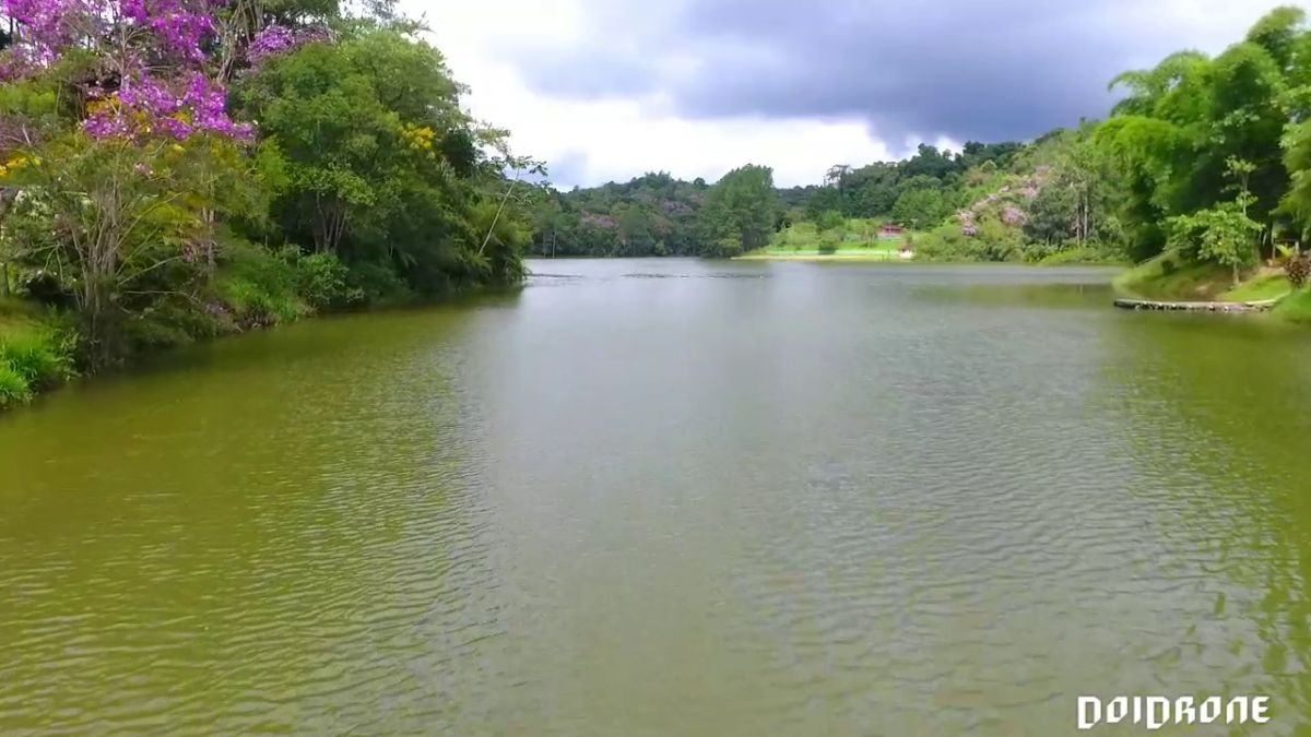 REPRESA EM JUQUITIBA