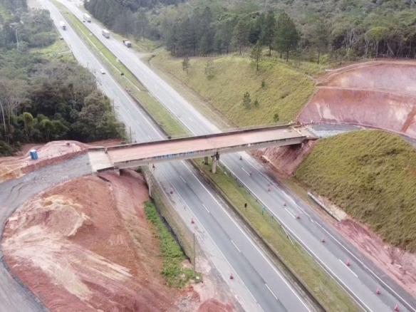 RETORNO DO GINHO DE JUQUITIBA 2022