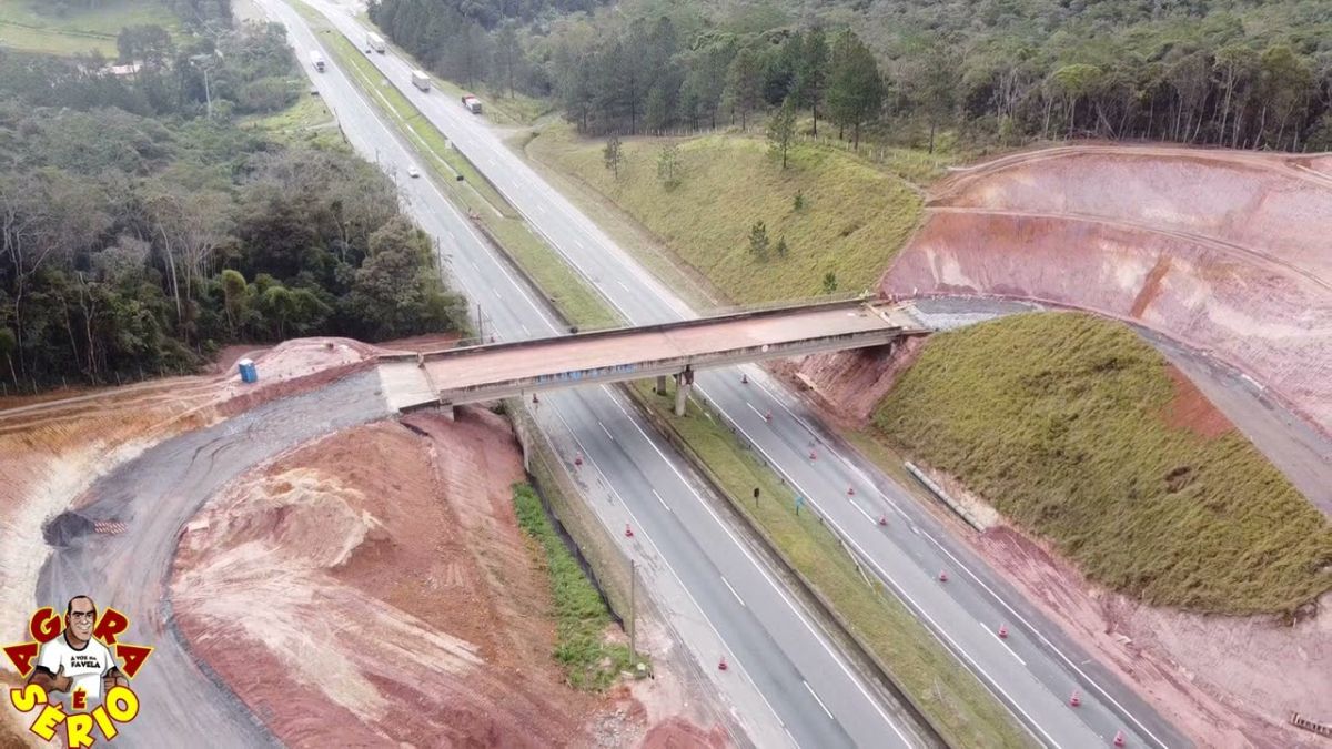 RETORNO DO GINHO DE JUQUITIBA 2022