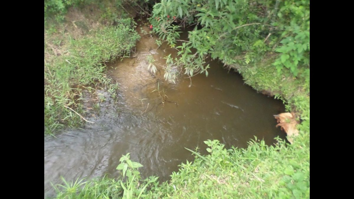 Ref. 715 – SÍTIO – SÃO LOURENÇO DA SERRA