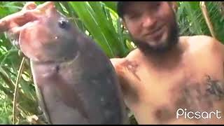 TILAPIA de dois kilos e meio em São Lourenço da Serra
