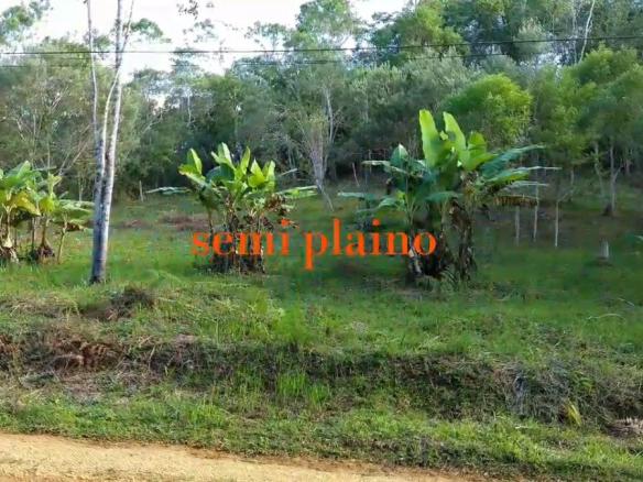 Terreno semi plaino para moradia ou formar sua chácara em Juquitiba