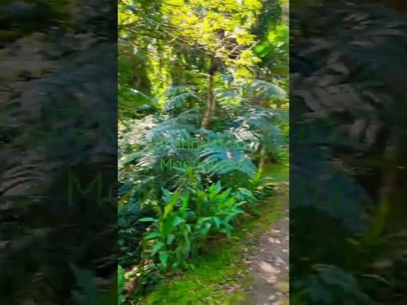 Trilha por São Lourenço da Serra