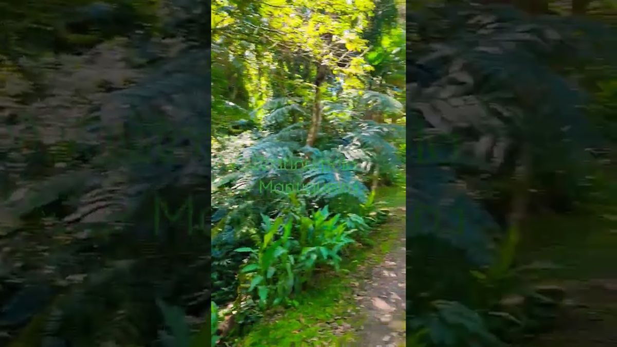 Trilha por São Lourenço da Serra