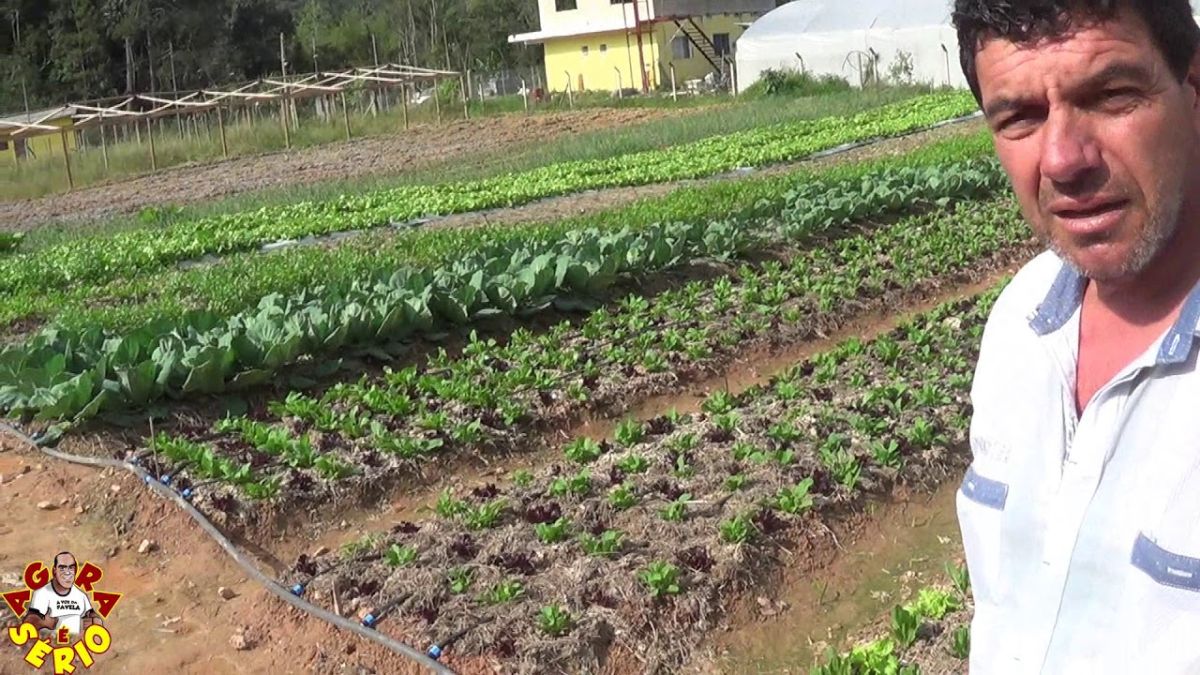 ZÉ DA SAMA O MAIOR PRODUTOR ORGANICO DE JUQUITIBA