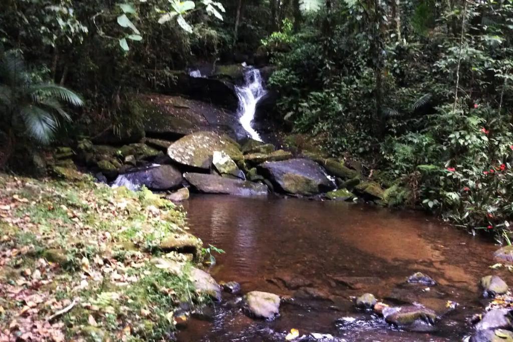 Casa na Floresta Casa Araucária em meio à Mata Atlântica em Juquitiba AirBnB