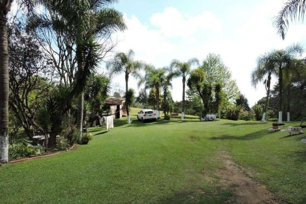 Chácara à venda em Juquitiba com mina d'água e lago . Plantas silvestres, mata preservada, a chácara fica próximo de uma cachoeira maravilhosa.