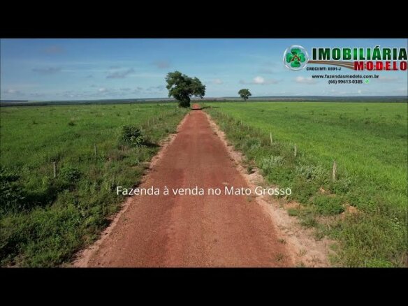 Fazenda à venda no Mato Grosso
