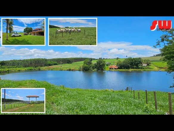 VENDA – Fazenda em Inhumas – Goiás