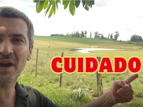 Casais e a Vida no Campo: Por que Ambos Precisam Estar Alinhados com a Rotina Rural