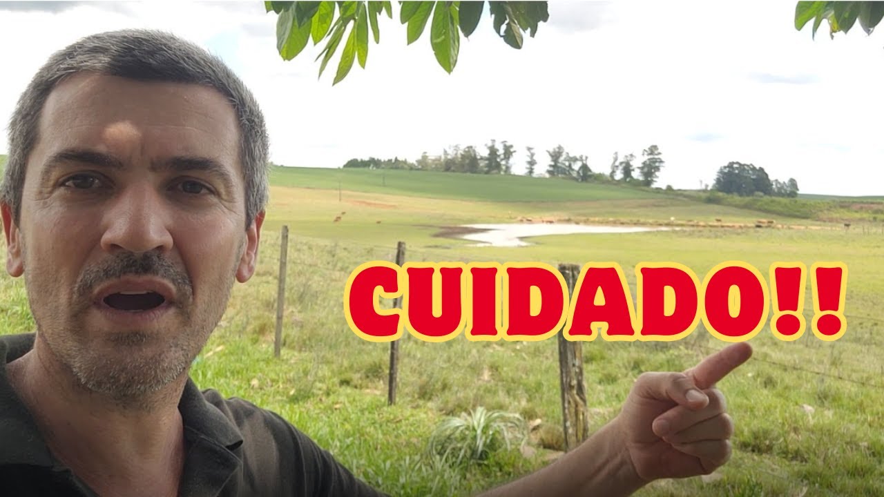 Casais e a Vida no Campo: Por que Ambos Precisam Estar Alinhados com a Rotina Rural