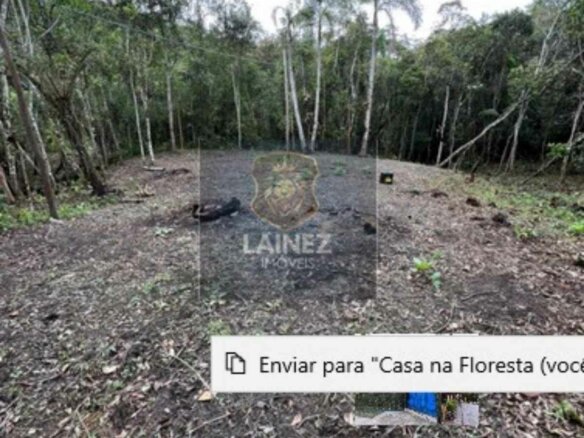 Chácara dos Sonhos: 3.300 m² com Nascentes e Topografia Plana