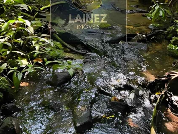 Paraíso Natural com Cachoeira e Nascentes em Miracatu
