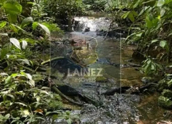 Miracatu: Terreno dos Sonhos para sua Fazenda ou Ecoturismo
