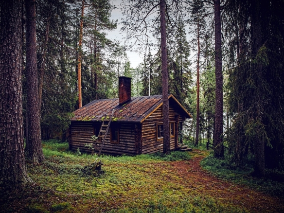 hut, forest, seefeld, wooden hut, nature, forest lodge, hiking hut, hut, hut, hut, hut, hut