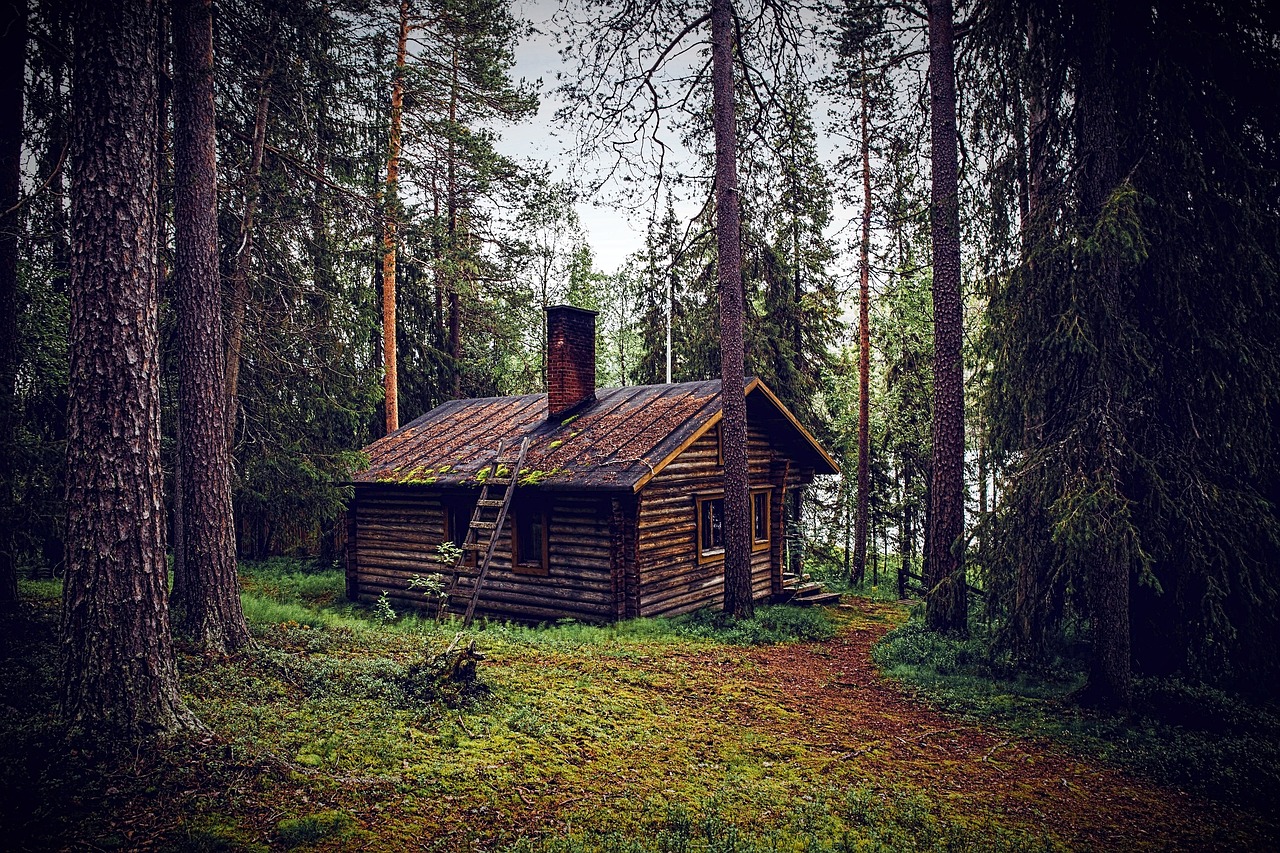 hut, forest, seefeld, wooden hut, nature, forest lodge, hiking hut, hut, hut, hut, hut, hut