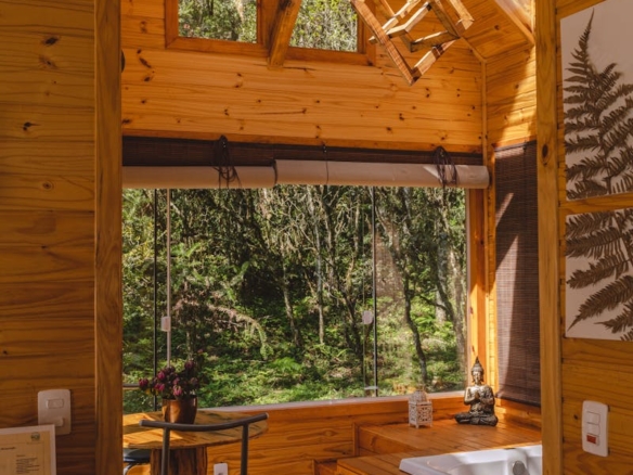 Warm wooden cabin interior with a serene forest view and natural lighting.