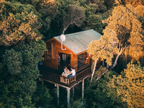 Aerial shot of a secluded treehouse nestled amidst lush woods in South Africa.