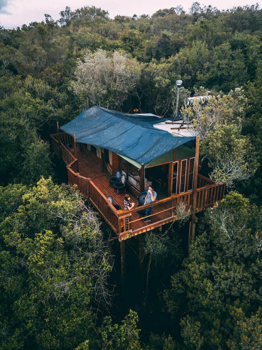 Aerial view of a rustic treehouse cabin surrounded by lush forest in South Cape DC, South Africa.