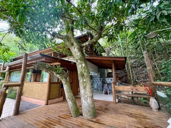 🌴Chalé Bem-te-vi: Luxo e Natureza em Ilhabela 🌿🏡